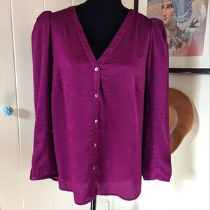 1.State Button Down Long Sleeve Top L Whimsigoth Fairy Grunge Dark Academia